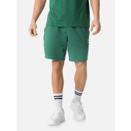 CLASSICS Shorts 8   TR