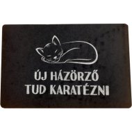 POLIPROPILÉN ÉS GUMI LÁBTÖRLŐ 40X60CM FEKETE TÖBB MINTA