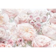 KOMAR FOTÓTAPÉTA KOMAR 8-976 368X254CM SPRING ROSES