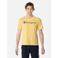 crewneck t-shirt