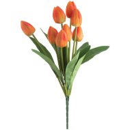 Tulipán csokor