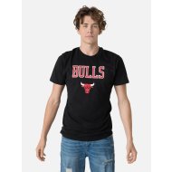 NBA TEAM LOGO TEE CHICAGO BULLS