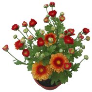 KRIZANTÉM KISVIRÁGÚ CS:9CM CHRYSANTHEMUM MULTIFLORUM