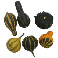 DÍSZTÖK I., SIMA 8-10 CM, 5-6 FAJTA