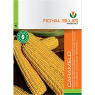 KERTIMAG CSEMEGEKUKORICA CARAMELO RS1