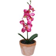 ORCHIDEA MŰVIRÁG KASPÓBAN 27X9X9CM HÁROMFÉLE