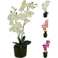 ORCHIDEA MŰVIRÁG 40X14X10CM KASPÓBAN HÁROMFÉLE