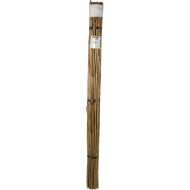 BAMBUSZ NÖVÉNYTÁMASZ 210CM, ÁTMÉRŐ:16-18MM