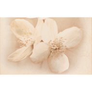 CERSANIT DIANA DEKORCSEMPE 25X40CM, VIRÁGOS, BÉZS, 2 DARAB/CSOMAG
