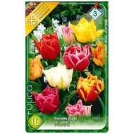 VIRÁGHAGYMA TULIPÁN TELTVIRÁGÚ MIX 10DARAB/CSOMAG SZÍNKEVERÉK