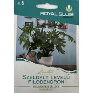 Kertimag virágmag szobanövény szeldelt levelű filodendron