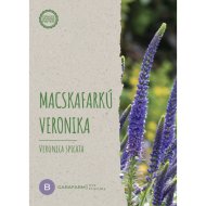 Kertimag virágmag macskafarkú veronika blue