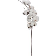 Dekor pamut ág 56cm