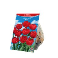 Virághagyma tulipán mix