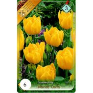 Virághagyma Tulipán 'Monte Carlo' 6db/cs sárga