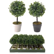 BUXUS KASPÓBAN 24X12X12CM KÉTFÉLE