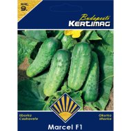 Uborka vetőmag Marcel F1 prémiium 9