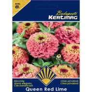 Rézvirág virágmag Queen Red Lime prémium 8