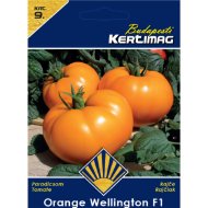 Paradicsom vetőmag Orange Wellington F1 Prémium 9