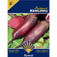Cékla vetőmag Rywal Prémium 8