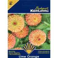 Rézvirág virágmag Lime Orange Prémium 8