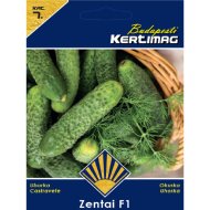 Uborka vetőmag Zentai F1 Prémium 7