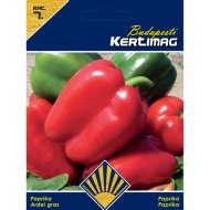 Paprika vetőmag Gigant F1 Prémium 7