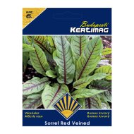 Bazsalikom vetőmag Gustosa Prémium 6