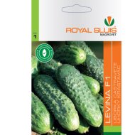 Uborka vetőmag Levina F1 RS-1