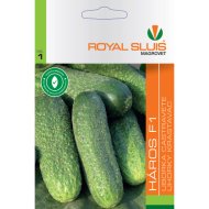 Uborka vetőmag Háros F1 RS-1