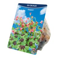 Virághagyma madársóska 30db/csomag