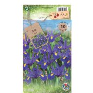 Holland nőszirom virághagyma 10db/csomag kék