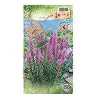 Díszcsorba virághagyma 8db/csomag kék