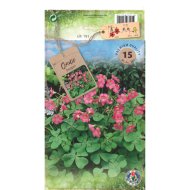 Négylevelű madársóska virághagyma 15db/csomag