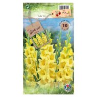 Kardvirág virághagyma 10db/csomag sárga