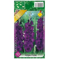 Virághagyma kardvirág 'Purple Flora' 10db/csomag lila