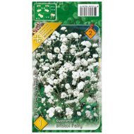 Virághagyma fátyolvirág 1db/csomag fehér teltvirágú