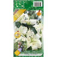 Virághagyma liliom Pretty Woman fehér