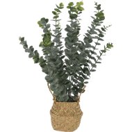 Műnövény eukaliptusz kosárban 50x22x22cm