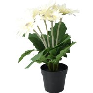 Műnövény cserepes gerbera 31x15x15cm 3-féle