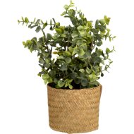 Műnövény zöldnövény kosárban 32x25x25cm 3-féle