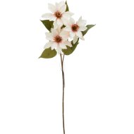 Műnövény iszalag 75cm 3-féle