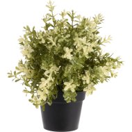 Műnövény cserepes zöldnövény 24x12x12cm 4-féle