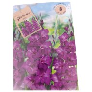 Kardvirág virághagyma 10db/csomag kék