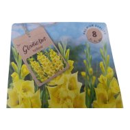 Kardvirág virághagyma 10db/csomag sárga