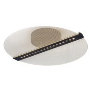 Rábalux Norael LED mennyezeti lámpa 20W 1410lm 3000K IP20 fekete-átlátszó