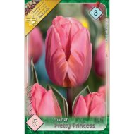 Virághagyma tulipán Pretty Princess rózsaszín 5 db/csomag