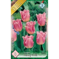Virághagyma tulipán Fancy Frills rózsaszín 8db/csomag