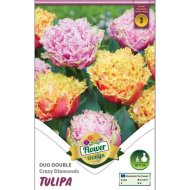 Virághagyma tulipán Crazy Diamond színkeverék 6db/csomag