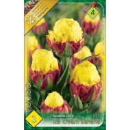 Virághagyma tulipán Ice Cream Banana sárga-lila 3db/csomag